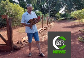 Produção de frango caipira mantém família no campo 