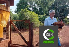 Produção de frango caipira mantém família no campo 