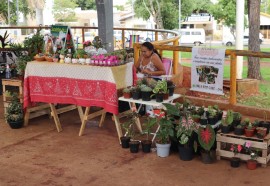 Assessoria Guaíra