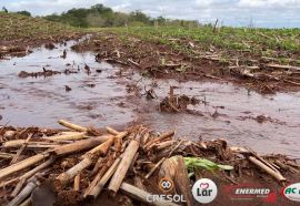 Expedição Costa Oeste: chuvas afetam algumas lavouras e deixam produtores em alerta no oeste do PR