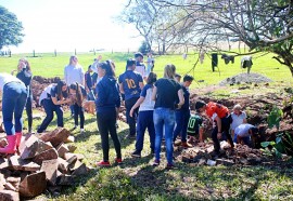 Assessoria Itaipulândia