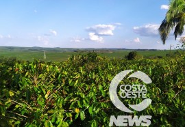 Expedição Costa Oeste 90 Café 