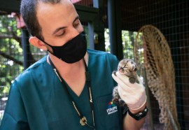 Médico veterinário Pedro Teles, da Itaipu Binacional.