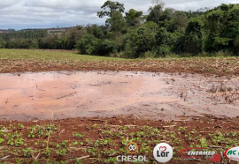 Expedição Costa Oeste: chuvas afetam algumas lavouras e deixam produtores em alerta no oeste do PR