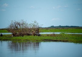 Fotos: Gran Park Iberá