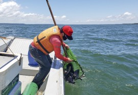 Arquivo Pessoal/Pescadores