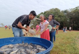 Distribuição de peixes nas aldeias de Itaipulândia e Santa Helena