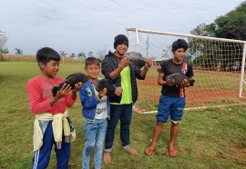 Distribuição de peixes nas aldeias de Itaipulândia e Santa Helena