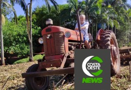 Produção de frango caipira mantém família no campo 