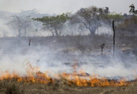 Queimadas mais frequentes ocorrem em todas as partes do planeta