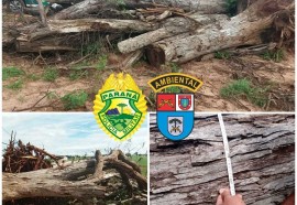 Créditos: Policia Ambiental