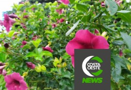 Expedição Costa Oeste 40