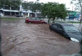 Temporal causa alagamentos, derruba árvores e descobre casas em Foz