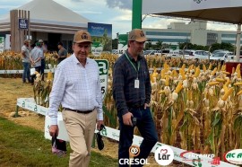 Dia de Campo Lar abre temporada 2023 do agronegócio no Oeste paranaense