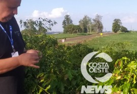 Expedição Costa Oeste 90 Café 