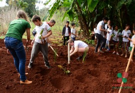 Construção de fossa ecológica