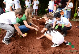 Construção de fossa ecológica