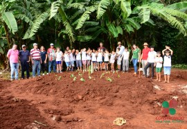 Construção de fossa ecológica