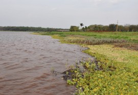 Assessoria São Miguel do Iguaçu