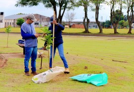 Crédito: Assessoria Itaipulândia