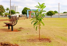 Crédito: Assessoria Itaipulândia