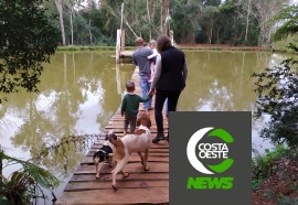 Impactos das geadas no milho safrinha refletem nos pedidos de Proagro na região