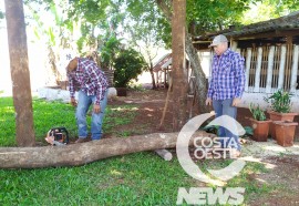  Em propriedade diversificada, produtor rural prioriza soja e gado de corte fica em segundo plano