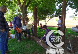  Em propriedade diversificada, produtor rural prioriza soja e gado de corte fica em segundo plano