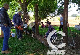  Em propriedade diversificada, produtor rural prioriza soja e gado de corte fica em segundo plano