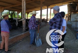  Em propriedade diversificada, produtor rural prioriza soja e gado de corte fica em segundo plano