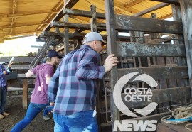  Em propriedade diversificada, produtor rural prioriza soja e gado de corte fica em segundo plano