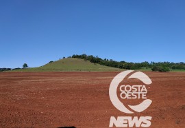  Em propriedade diversificada, produtor rural prioriza soja e gado de corte fica em segundo plano