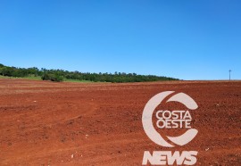  Em propriedade diversificada, produtor rural prioriza soja e gado de corte fica em segundo plano