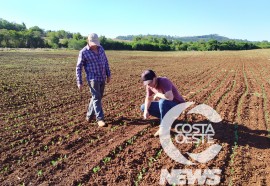  Em propriedade diversificada, produtor rural prioriza soja e gado de corte fica em segundo plano