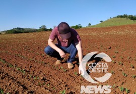  Em propriedade diversificada, produtor rural prioriza soja e gado de corte fica em segundo plano