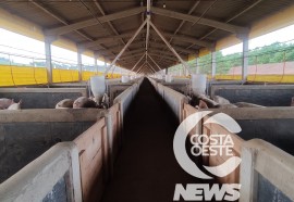 Propriedade Baratto - Visitas da Niero - Assessoria e Planejamentos Agropecuários