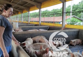 Propriedade Baratto - Visitas da Niero - Assessoria e Planejamentos Agropecuários