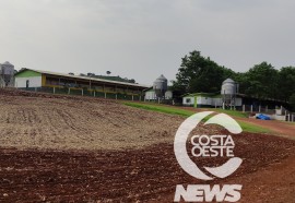 Propriedade Baratto - Visitas da Niero - Assessoria e Planejamentos Agropecuários