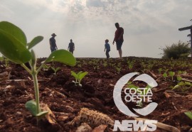 Propriedade Speggiorin  - Visitas da Niero - Assessoria e Planejamentos Agropecuários