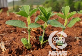 Propriedade Speggiorin  - Visitas da Niero - Assessoria e Planejamentos Agropecuários