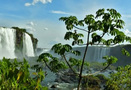 Fotos: @cataratasdoiguacu/assessoria 