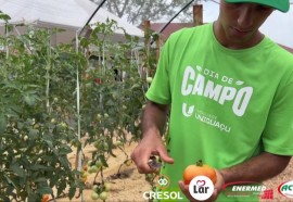 Dia de Campo UNIGUAÇU proporciona acadêmicos vivenciarem na prática o que aprendem em sala de aula