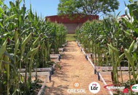 Dia de Campo UNIGUAÇU proporciona acadêmicos vivenciarem na prática o que aprendem em sala de aula