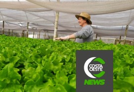 Expedição Costa Oeste: Família encontra vocação na produção de hortaliça hidropônicas 