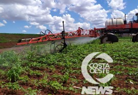 Propriedade Milioli - Visitas da Niero - Assessoria e Planejamentos Agropecuários