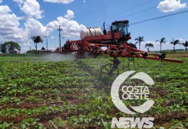 Propriedade Milioli - Visitas da Niero - Assessoria e Planejamentos Agropecuários