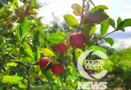 Expedição Costa Oeste: Netos batizam agroindústria de poupas de frutas em homenagem avó