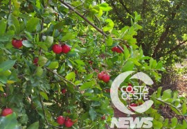 Expedição Costa Oeste: Netos batizam agroindústria de poupas de frutas em homenagem avó