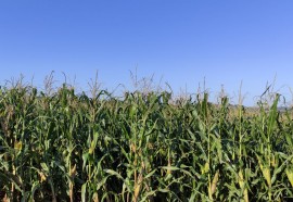 Expedição Costa Oeste: casal de agricultores salva propriedade com turismo rural em Medianeira