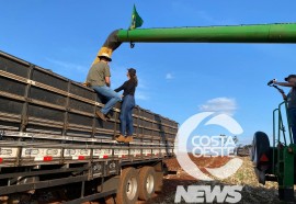 Expedição Costa Oeste 114: colheita do milho safrinha se torna programa em família